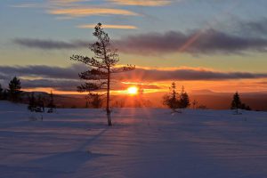 Lofsdalen är ett riktigt solfjäll med fina längdspår och leder.